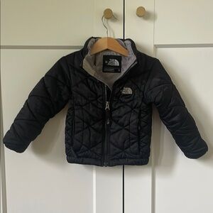 The North Face Black Insulated Puffer Coat